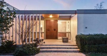 The Look In with Bree Prince – A mid-century tour de force