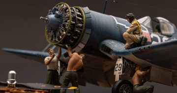 Things to do in Canberra this week (7 - 13 November)