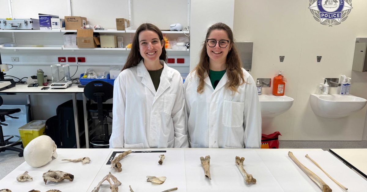 Human bones in attics? A surprisingly common call-out for Canberra’s crime-scene investigators | Region Canberra
