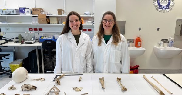 Human bones in attics? A surprisingly common call-out for Canberra's crime-scene investigators