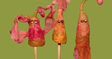 6-Week Short-Course: Quirky Feltmaking with Lynn Petersen at Tuggeranong Arts Centre
