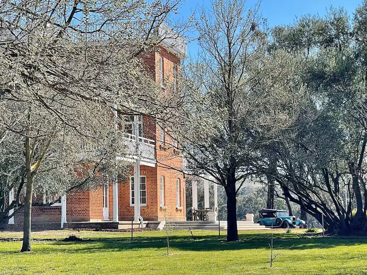 Mansions with spring blossom trees.