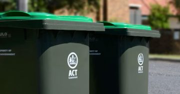 Need an extra green bin? They're now available, but it'll cost you