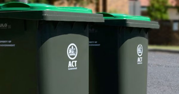 Need an extra green bin? They're now available, but it'll cost you