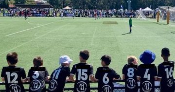 Where to now for over 2000 soccer players following the folding of Gungahlin United?
