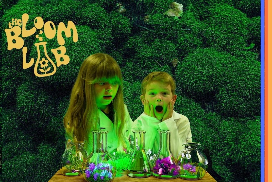 The Bloom Lab