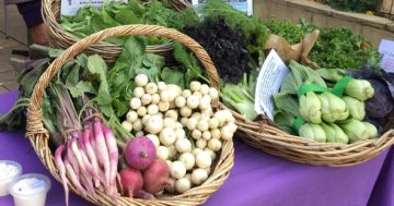 Mild spring brings hope of bumper crops