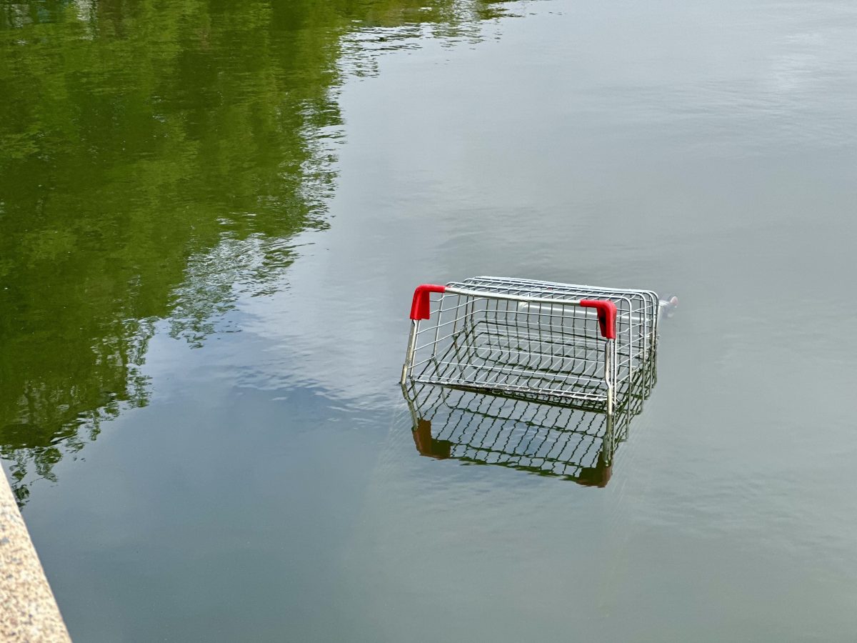 Shopping trolley dumped in a Canberra lake