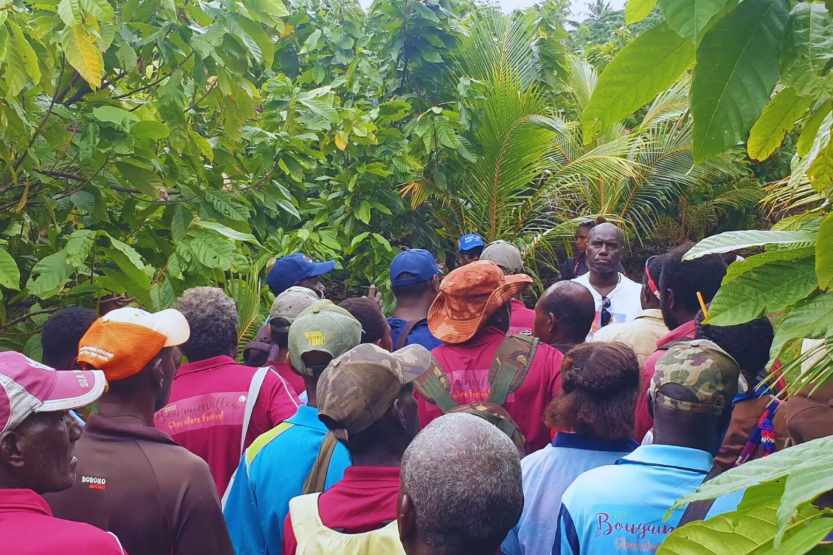 A group of people in a cacao plantation.