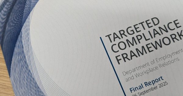 Government urged to get Deloitte's total fee returned for delivering a botched AI report