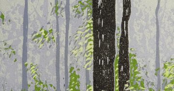 6-Week Short Course: Multi-Coloured Releief Printing at Tuggeranong Arts Centre