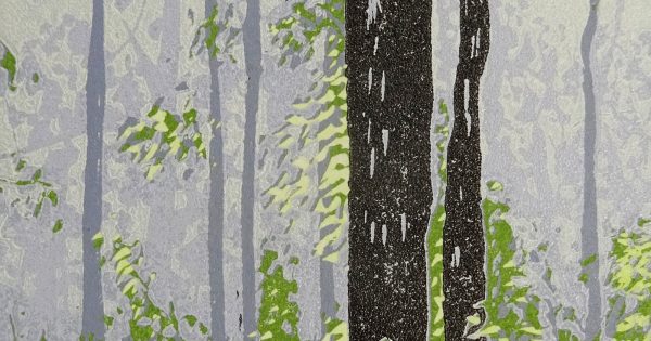 6-Week Short Course: Multi-Coloured Releief Printing at Tuggeranong Arts Centre