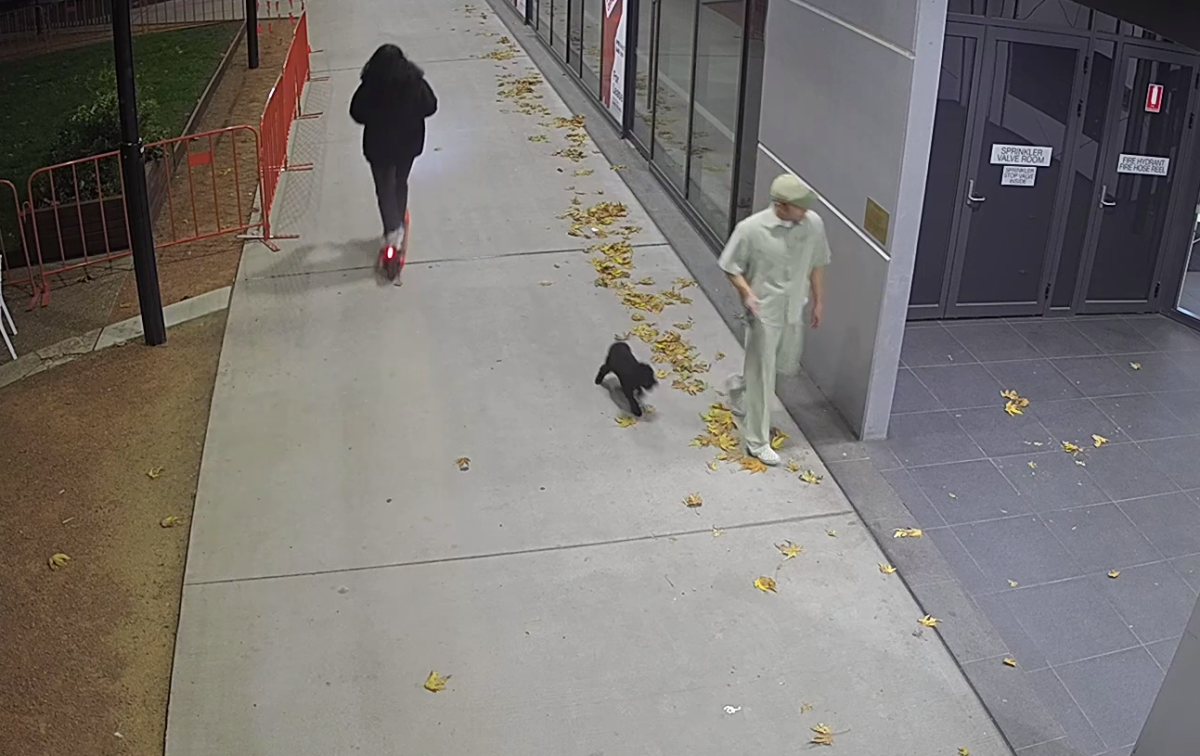 A man walking a small dog on a leash