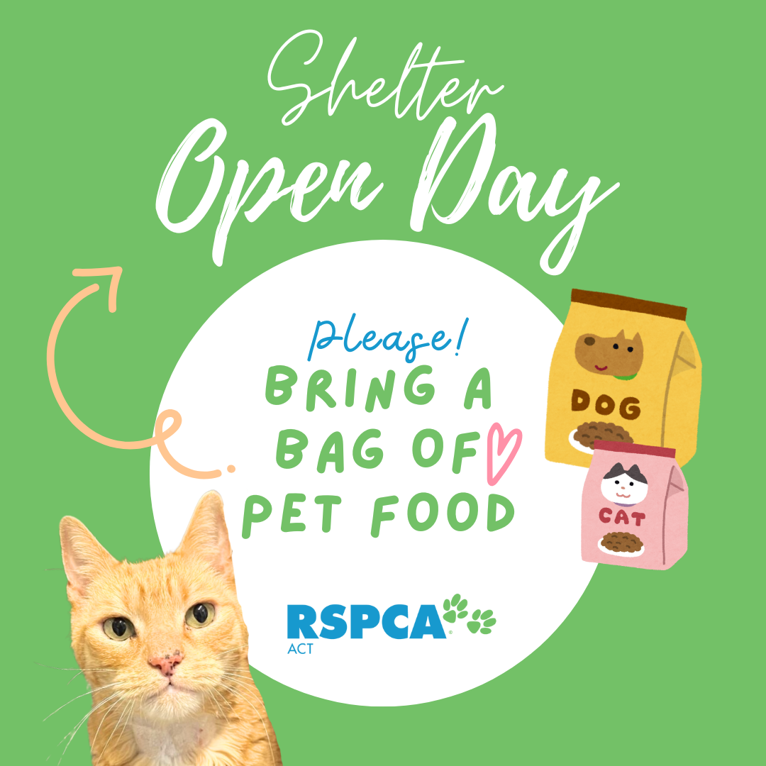 RSPCA ACT's shelter open day event poster