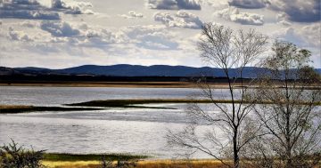 A 'multi-headed snake' near Tarago threatens water table, say activists