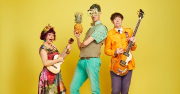 The Vegetable Plot at Tuggeranong Arts Centre