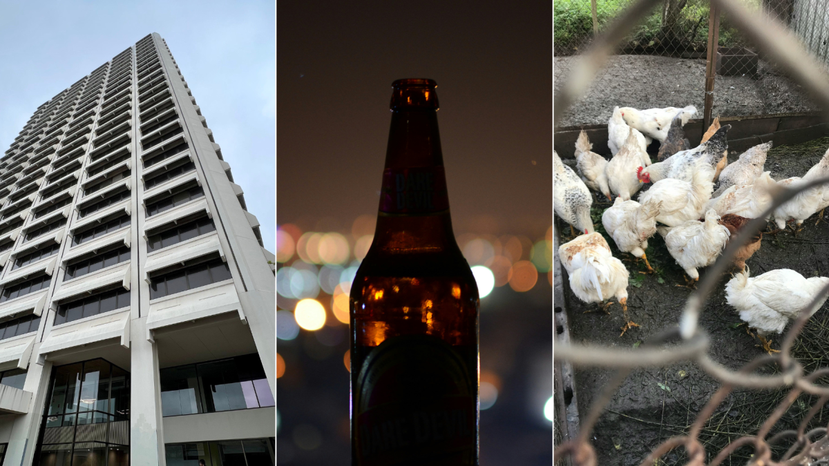 Lovett Tower Woden, beer bottle, chickens