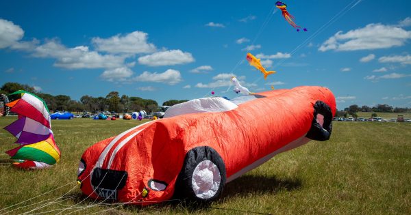 Kites take flight as Harden festival celebrates 20 years of colour