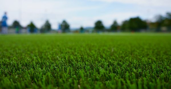 Why artificial grass might be banned