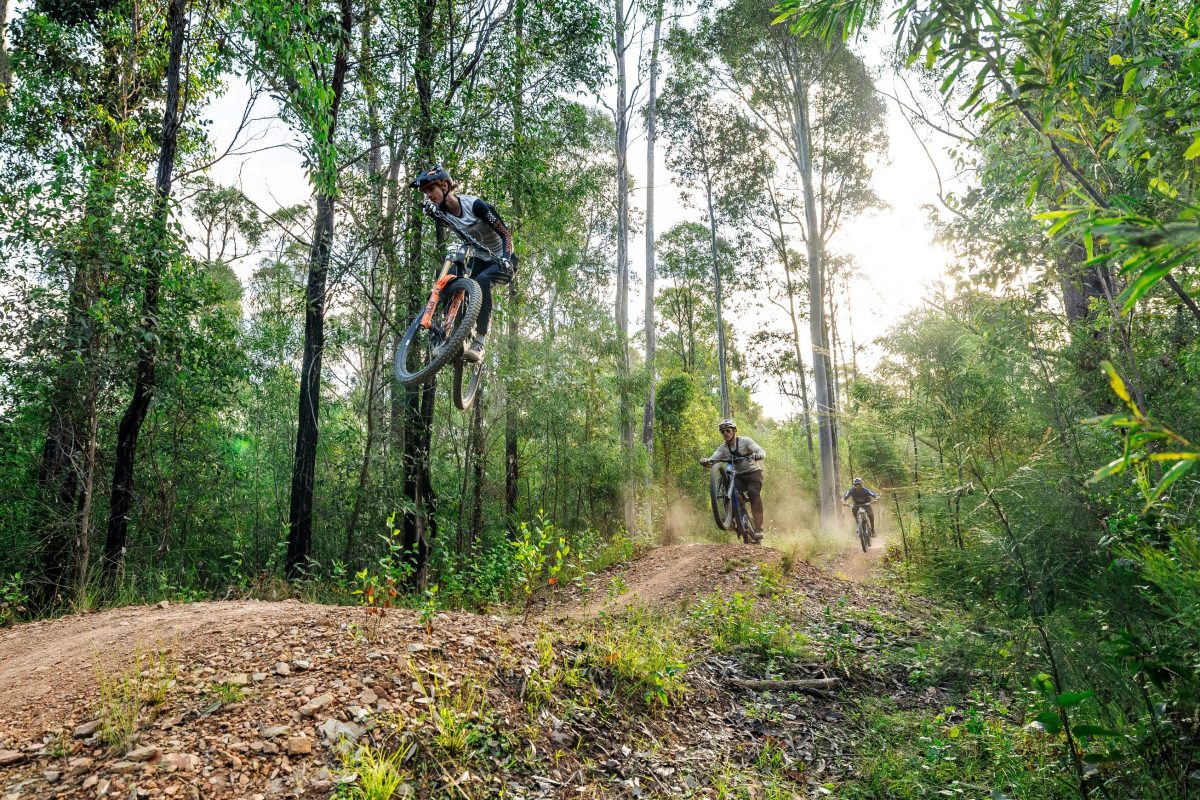 Mountain bikers enjoying South Coast forests