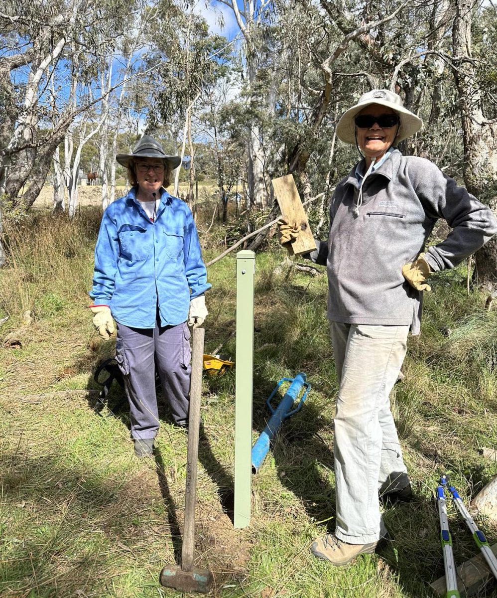 Two people smile as they install a wooden post for signage on a bush walking track.