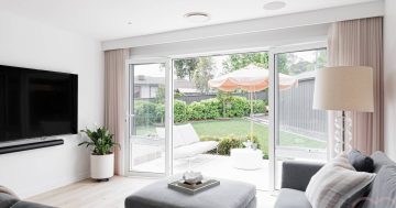 Auction results 17 - 23 November 2025