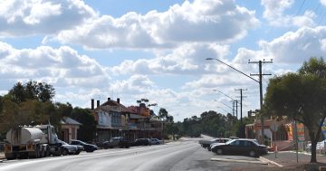 ‘No favourites’ promise not binding: Court rules on inheritance dispute over $20 million farm