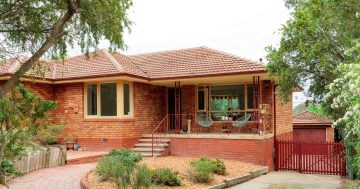 Auction results 10 - 16 November 2025