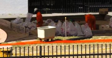 SES called in to remove Belconnen school's entire sand pit; seven more schools to reopen