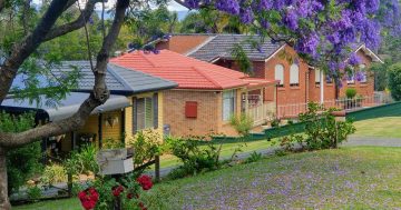 Can a mediocre millennial romanticise her life?