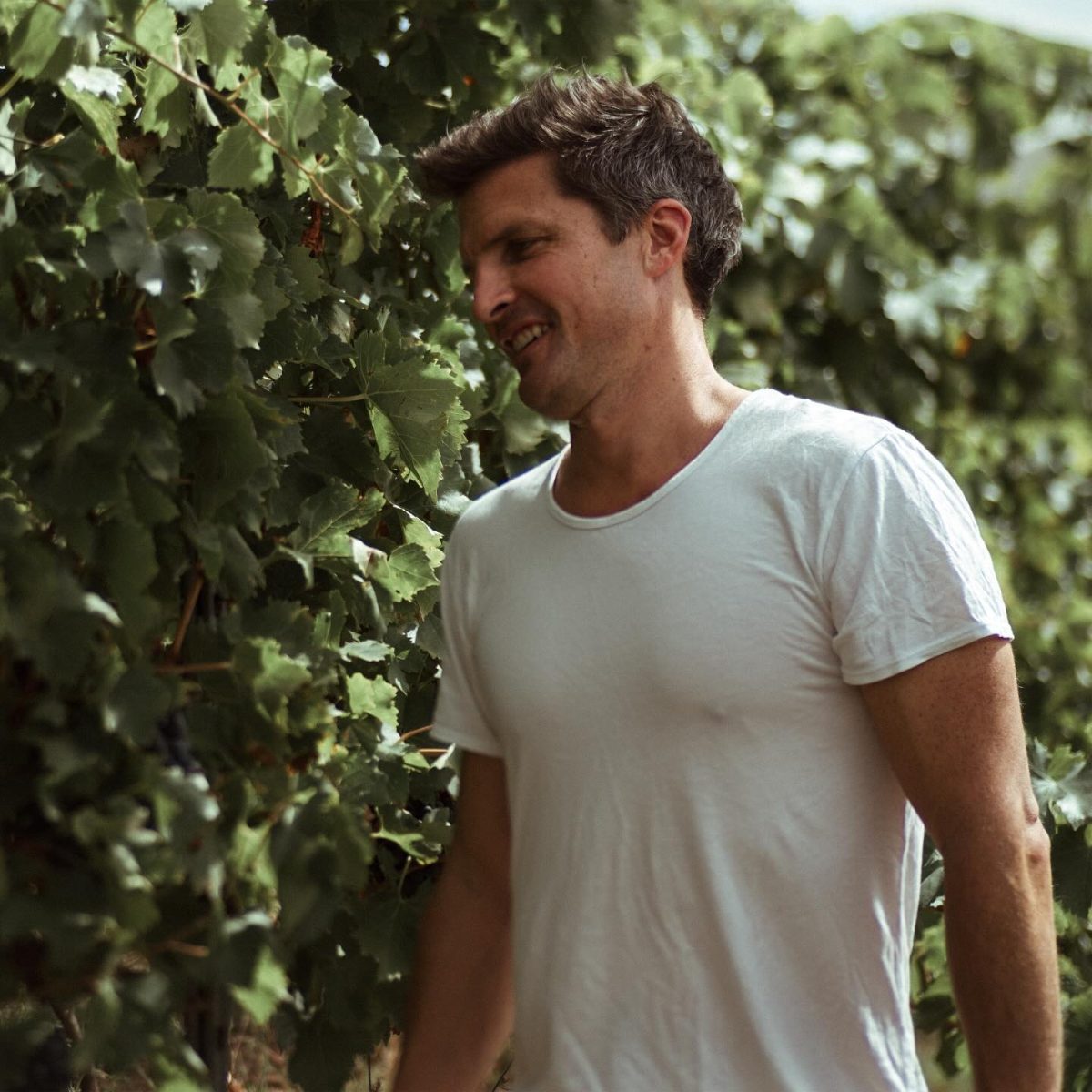 Hamish wears a white t-shirt and stands in the vineyard in a candid shot.