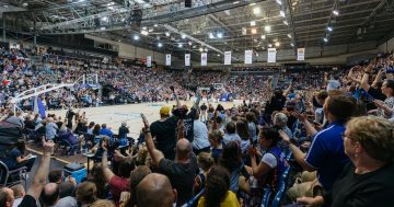 Things to do in Canberra this week (14 - 20 November)