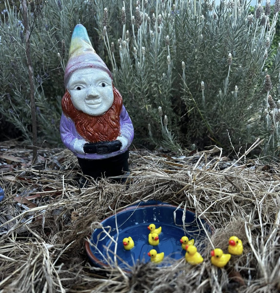Garden gnomes