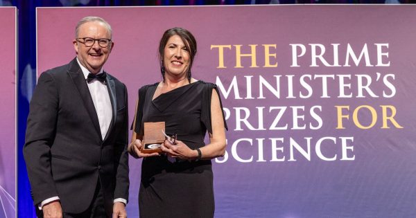 Canberra teacher takes out nation's biggest science award