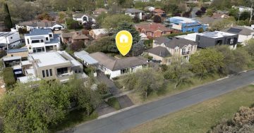 Auction results 27 October - 2 November 2025