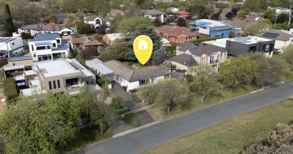 Auction results 27 October - 2 November 2025