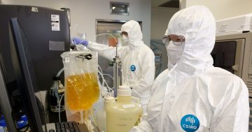 CSIRO job cuts a dumb way to be the smart country