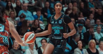 UC Capitals French forward ready to 'bring the energy every time'