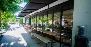 Dinner is served! Champi Express expands with must-try fusion flavours