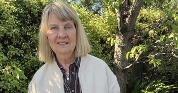 Chifley 'natural dye' garden among government grant winners