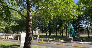 High winds wreak havoc across the ACT