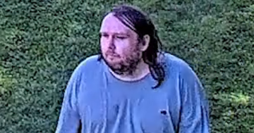 Police want to identify alleged vandal after War Memorial sculpture damaged