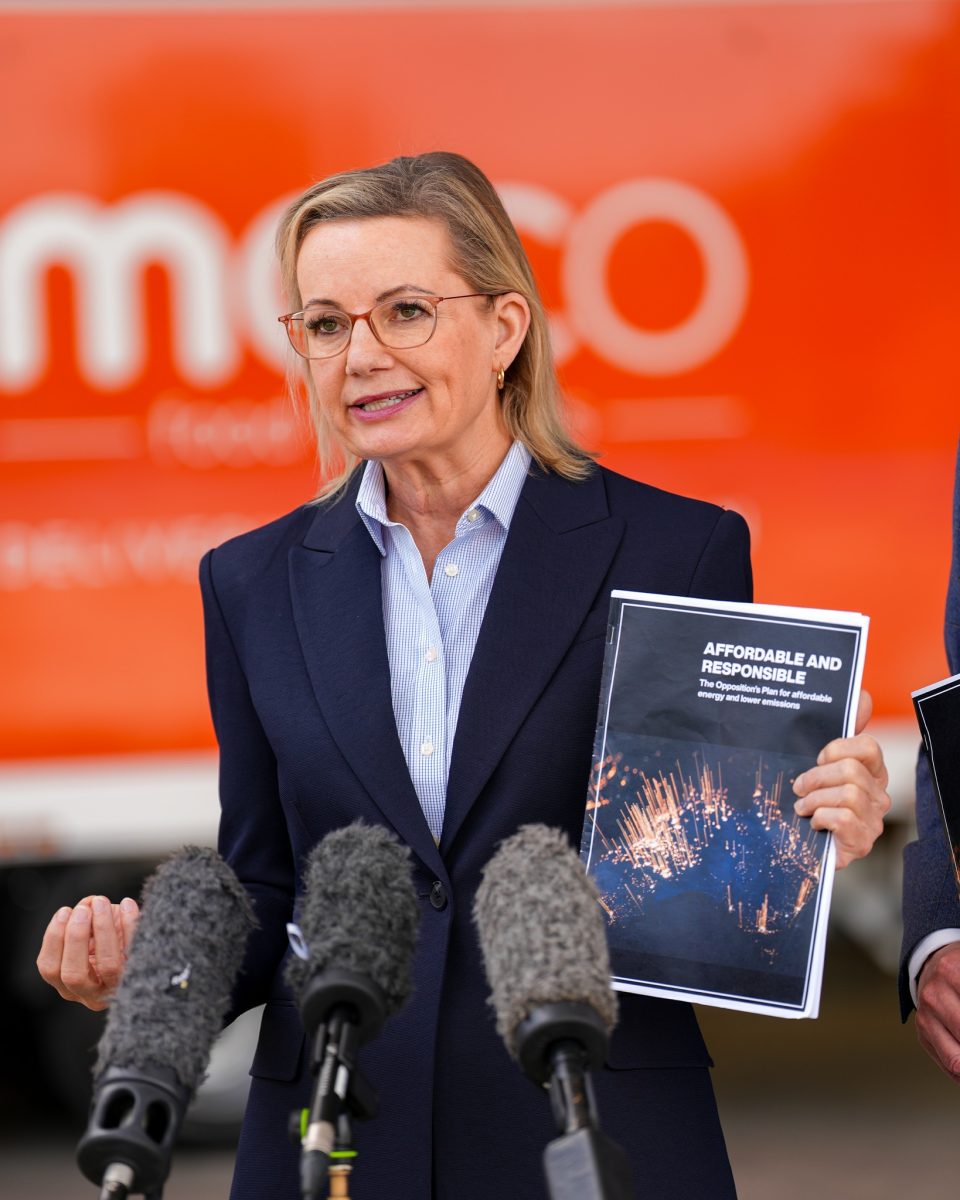 Sussan Ley with the opposition's energy policy