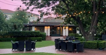 New Year’s Eve Twilight in the Gardens at Hyatt Hotel Canberra