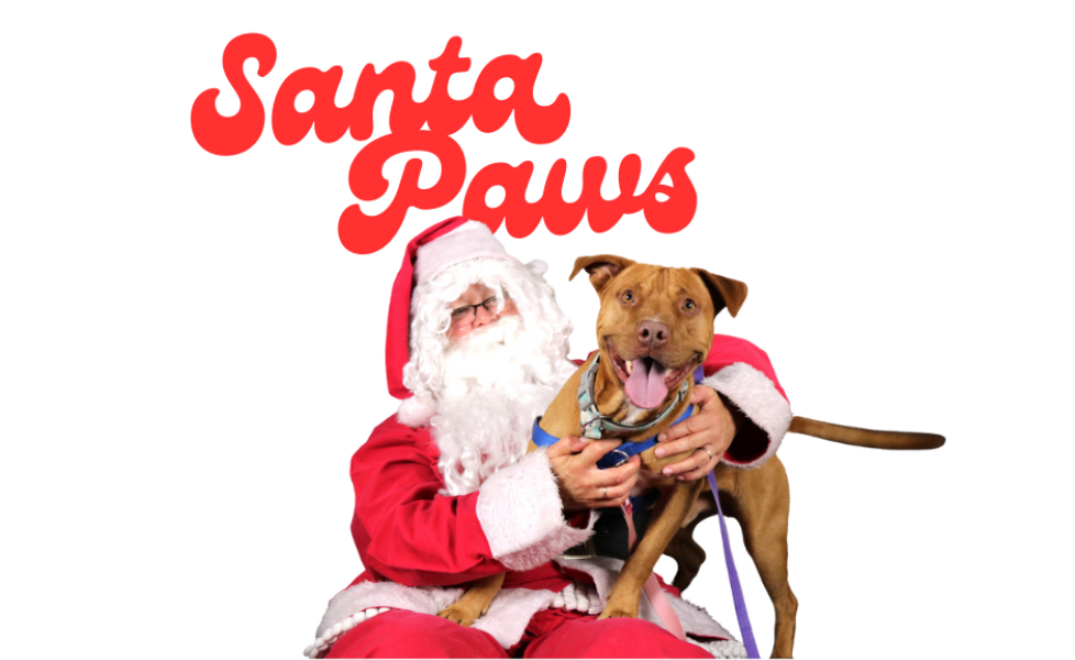 Santa Claus sitting with a dog