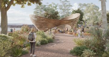 Design chosen for national memorial for victims of institutional child sex abuse