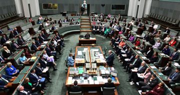 There's more to Parliament than Question Time