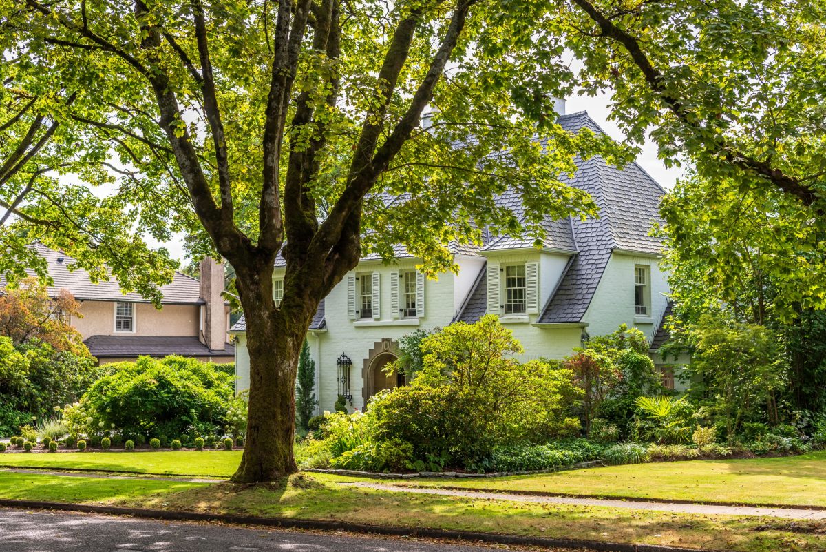 fancy suburban home in quiet leafy street