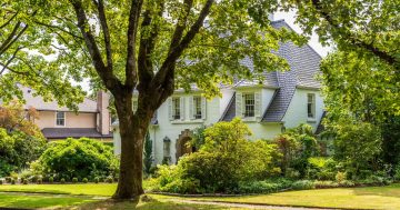 Get your foot in the door of Canberra's most exclusive market