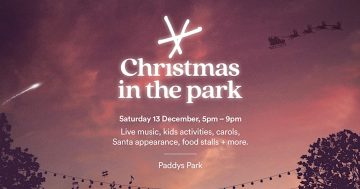 Christmas in the Park